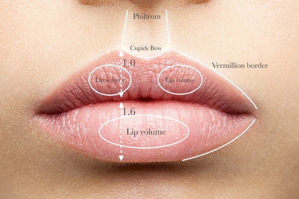 Lipfillers